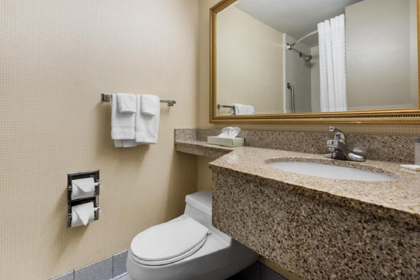 Quality Inn & Suites Charleston - Civic Center Ngoại thất bức ảnh