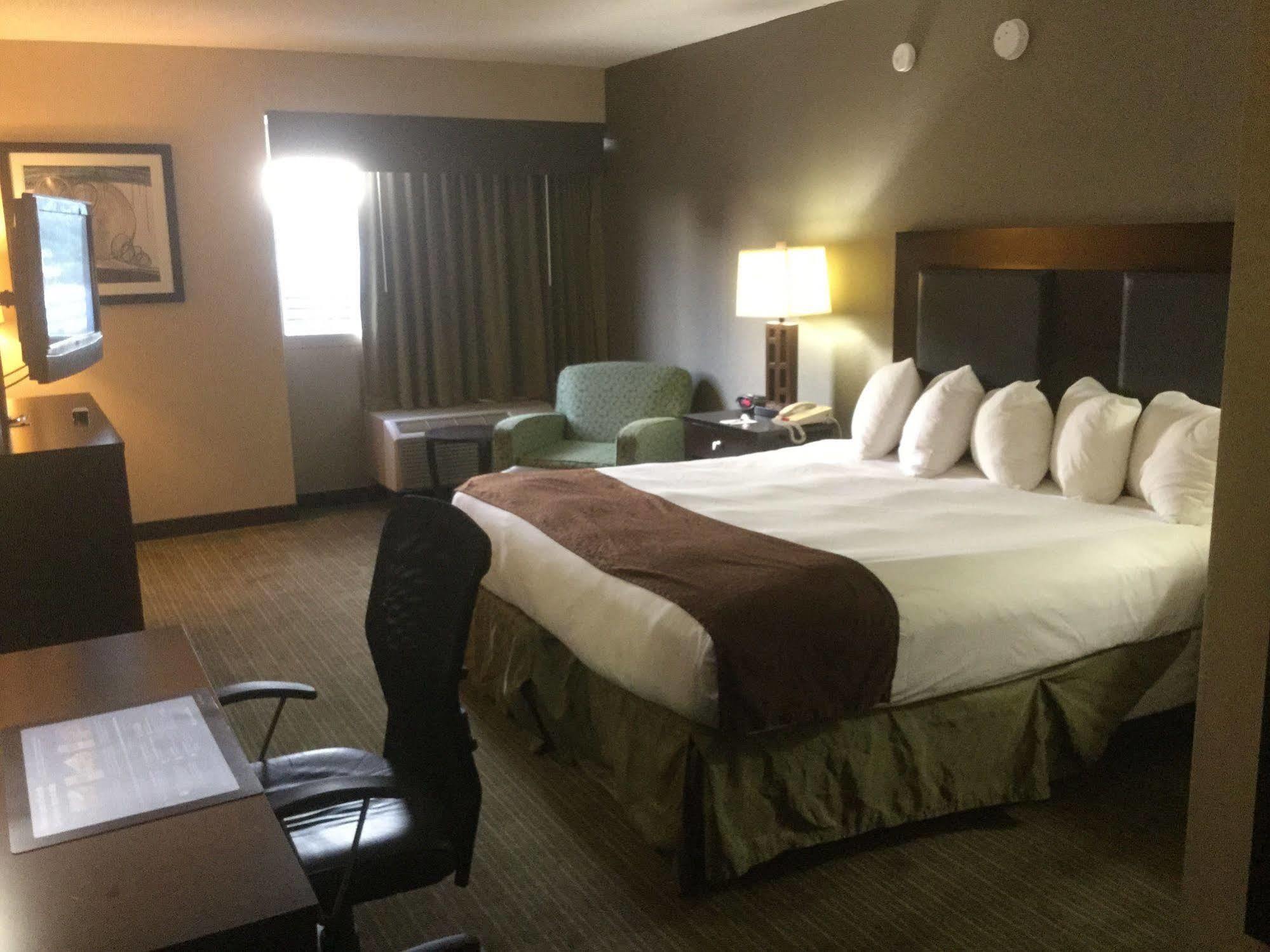 Quality Inn & Suites Charleston - Civic Center Ngoại thất bức ảnh